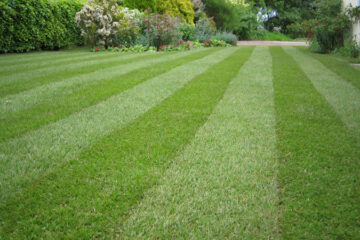 Údržba zeleně pro obce a firmy